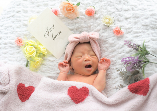 香川県/写真館/メニュー