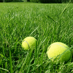 テニスクラブ/デモサイト